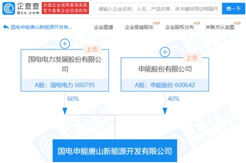 国电电力 申能股份合资成立新能源开发公司,注册资本1亿元